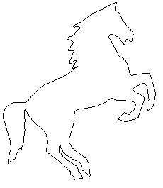 pferd 231