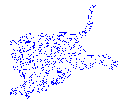 Leopard 211