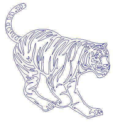 Tiger 211