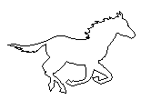 pferd3