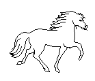 pferd4